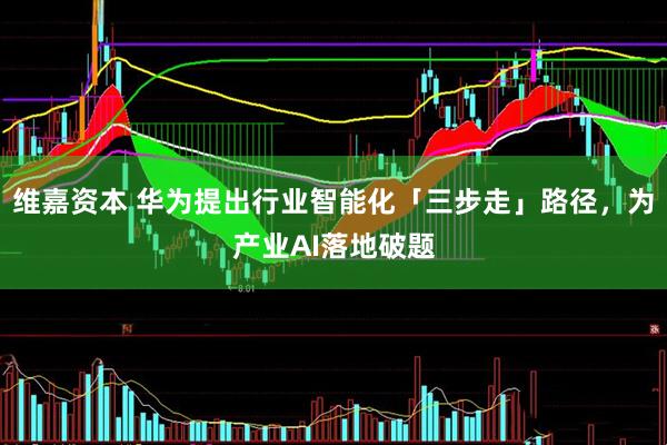 维嘉资本 华为提出行业智能化「三步走」路径，为产业AI落地破题