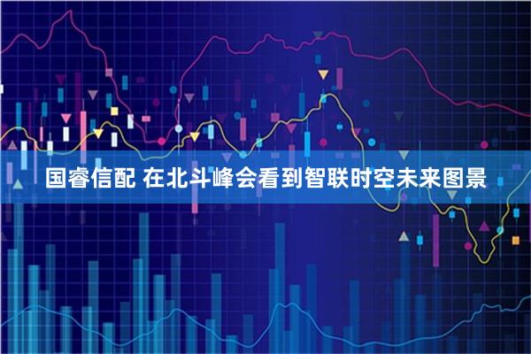 国睿信配 在北斗峰会看到智联时空未来图景