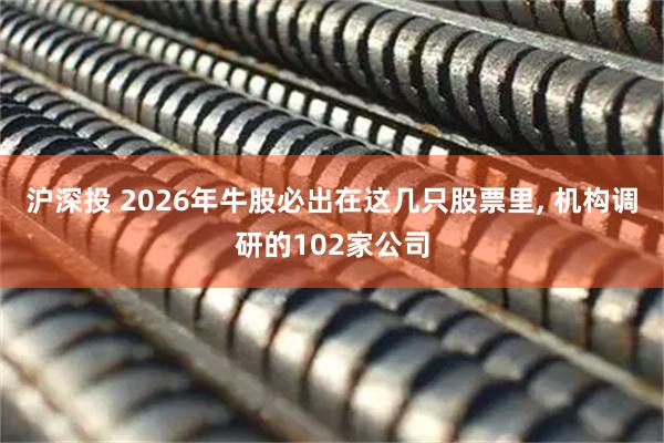 沪深投 2026年牛股必出在这几只股票里, 机构调研的102家公司